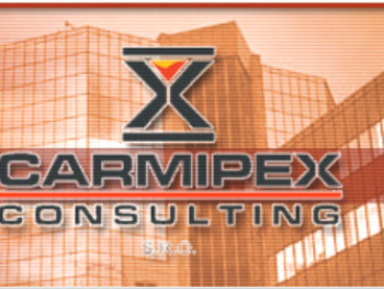 CARMIPEX CONSULTING